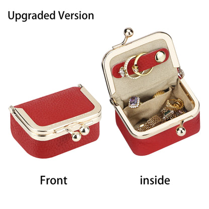 The Little Treasure Case