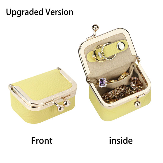 The Little Treasure Case